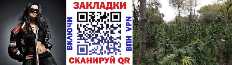 Купить наркотик Заинск АМФЕТАМИН  Марихуана  МЕФ  ГАШИШ  Альфа ПВП 