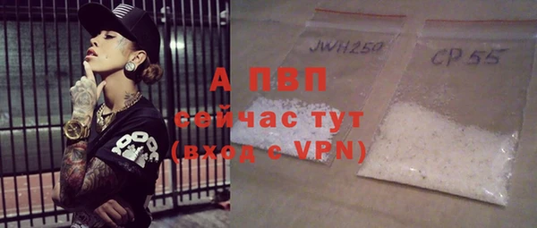 СК Алексин