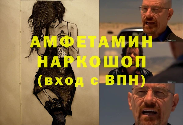 СК Алексин