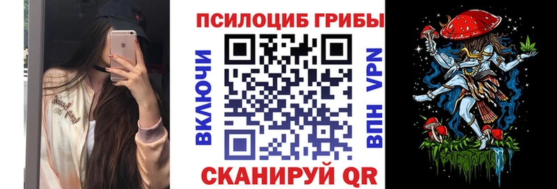 Псилоцибиновые грибы GOLDEN TEACHER  закладка  Заинск 